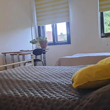 Apartment Family Near Terme Catez - 4c